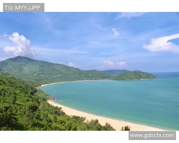 西安篮球队的奋斗历程与成长足迹全景纪实