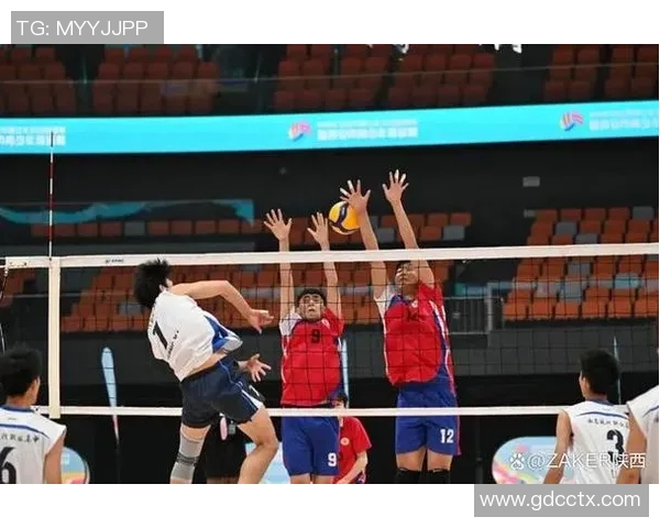 重庆排球队比赛经验分析与数据解读助力球队提升竞技水平