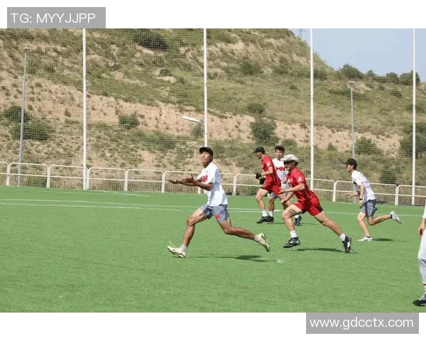 杭州飞盘队与北京飞盘队赛后复盘分析团队配合与战术执行的关键因素