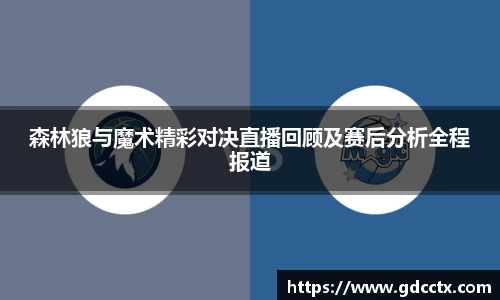 三亿体育APP