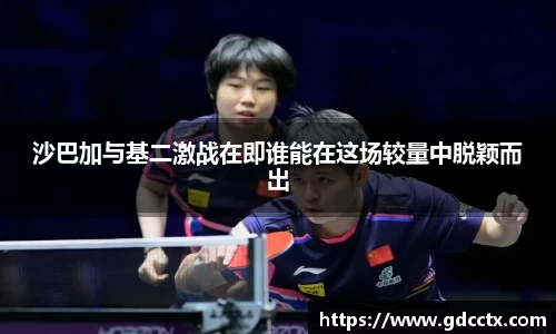 三亿体育APP