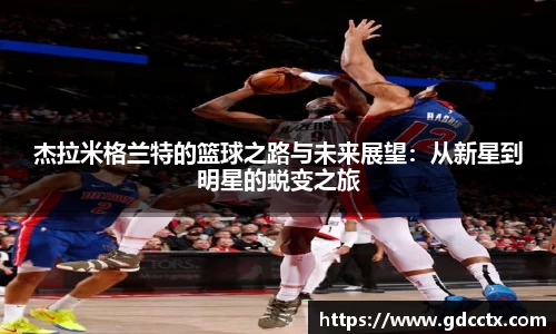 三亿体育