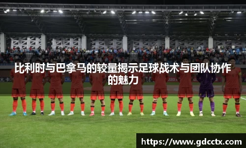 三亿体育